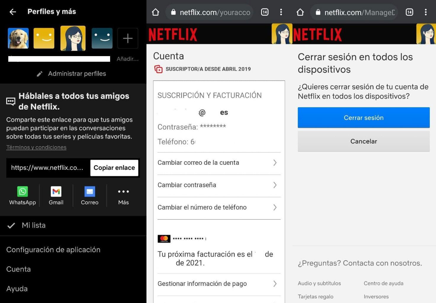 Ajustes Netflix